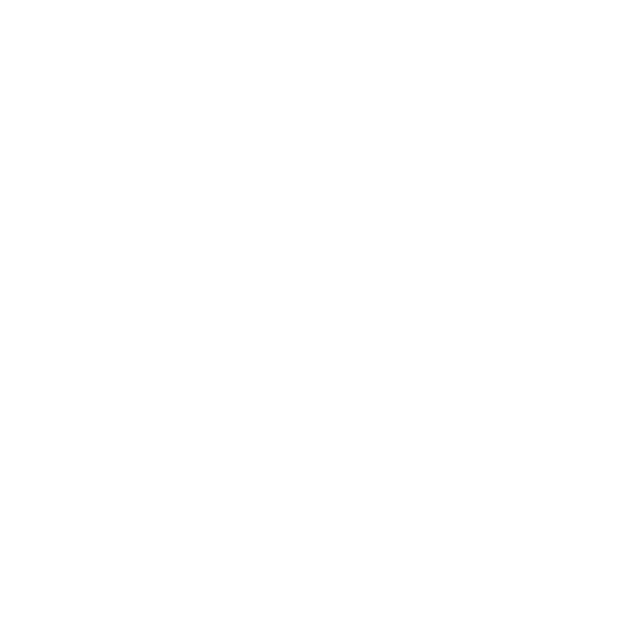 Naughton Enterprises Logo